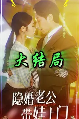 隐婚老公带娃上门海报图片