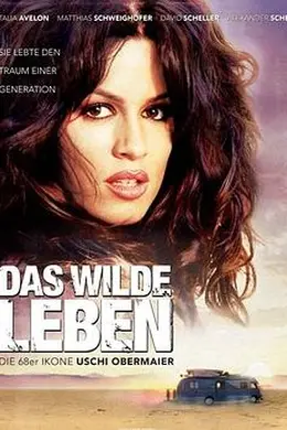 狂野人生封面图