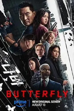 蝴蝶风暴封面图