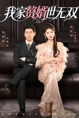 我家赘婿世无双海报图片
