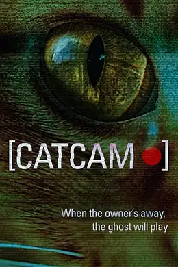 猫咪摄像头封面图