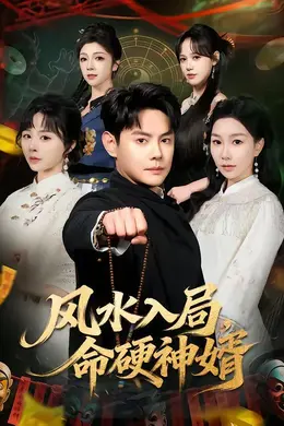 风水入局，命硬神婿封面图