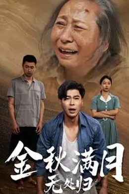 金秋满月无处归海报图片
