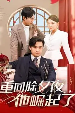 重回除夕夜他崛起了海报图片