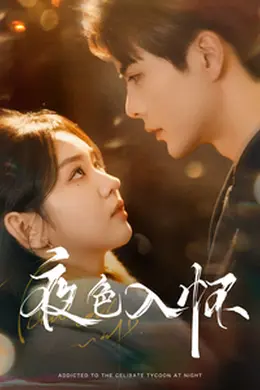 夜色入怀海报图片