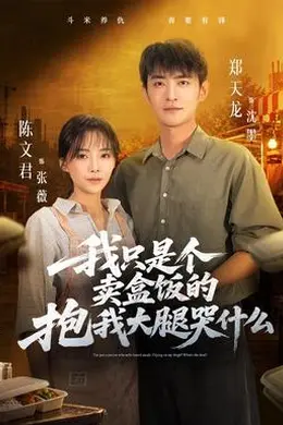 我只是个卖盒饭的抱我大腿哭什么封面图