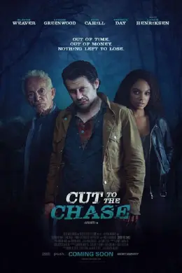 誓死追踪封面图