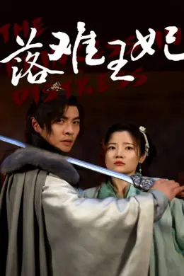 落难王妃海报图片