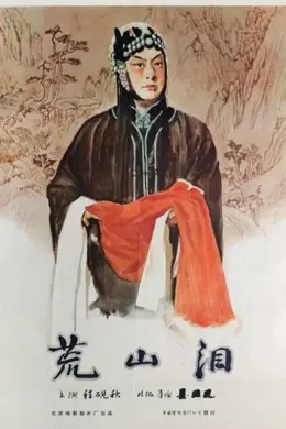 荒山泪封面图