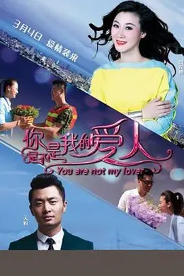 你是不是我的爱人封面图