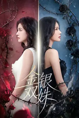 金银双姝封面图