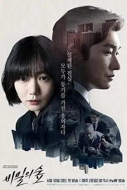 秘密森林封面图