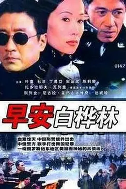 早安白桦林封面图