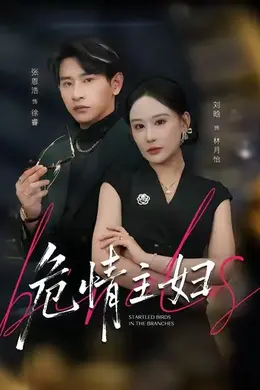 危情主妇封面图