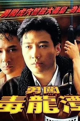 勇闯毒龙潭粤语封面图