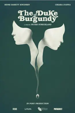 勃艮第公爵封面图