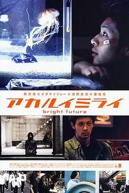 光明的未来封面图