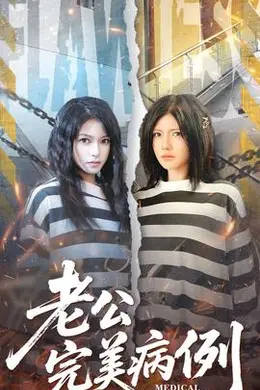 老公的完美病例海报图片