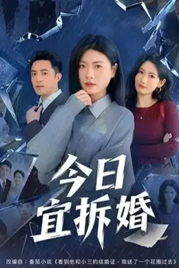今日宜拆婚封面图