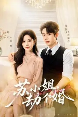 苏小姐，劫个婚海报图片
