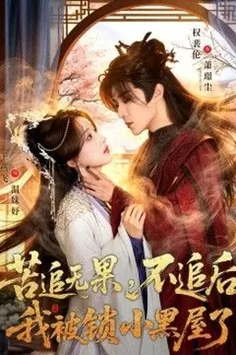 苦追无果，不追后我被锁小黑屋了海报图片