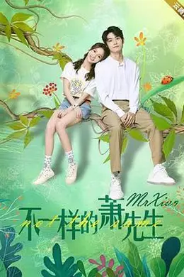 不一样的萧先生封面图