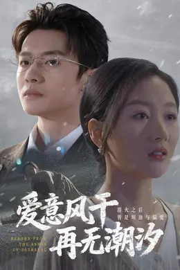 爱意风干再无潮汐封面图