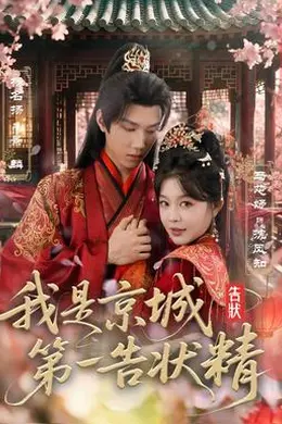 我是京城第一告状精封面图