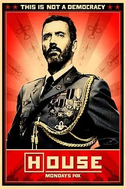 豪斯医生第八季海报图片