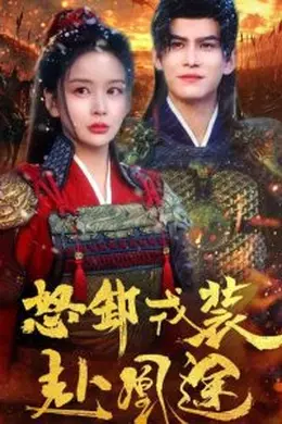 怒卸戎装赴凰途海报图片