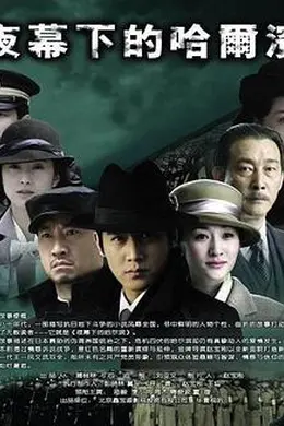 夜幕下的哈尔滨2007封面图