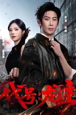代号：龙主封面图