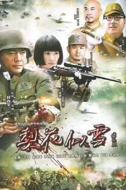 梨花似雪封面图