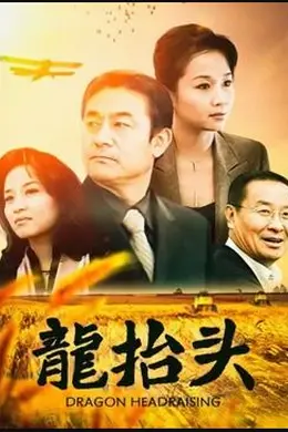 龙抬头2007封面图