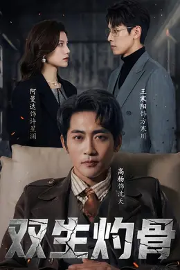 双生灼骨封面图