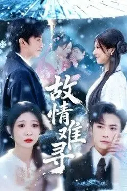 故情难寻海报图片