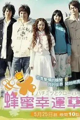 蜂蜜幸运草封面图