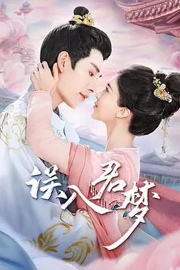 误入君梦封面图