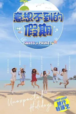 意想不到的假期封面图