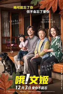 哦！文姬封面图