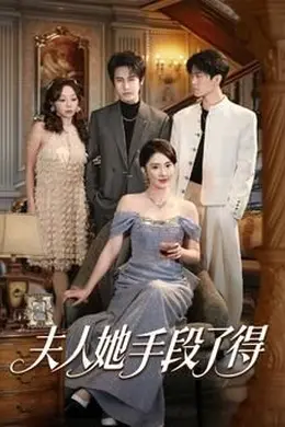 夫人她手段了得封面图