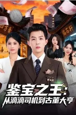 鉴宝之王：从滴滴司机到古董大亨封面图