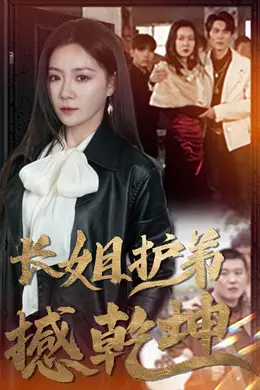 长姐护弟撼乾坤海报图片