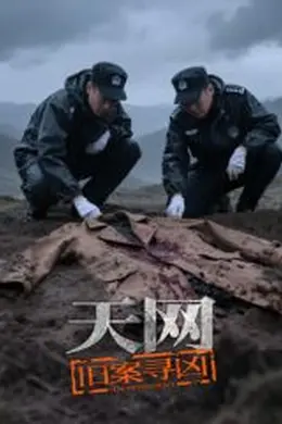 天网：旧案寻凶海报图片