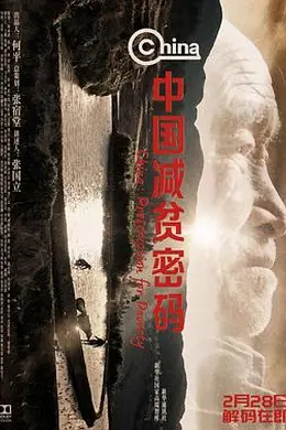 中国减贫密码封面图