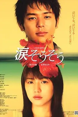 泪光闪闪封面图