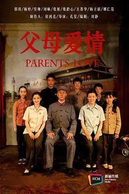 父母爱情2014封面图