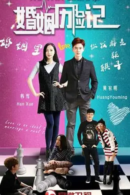 婚姻历险记封面图