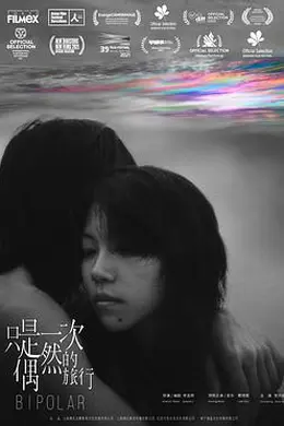 只是一次偶然的旅行封面图