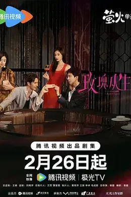 玫瑰丛生封面图